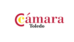 camara toledo cliente telefoniaip virtualtwin